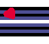 Leather Pride Flag